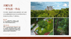 优良的教育资本不只能为孩子展奠基根本